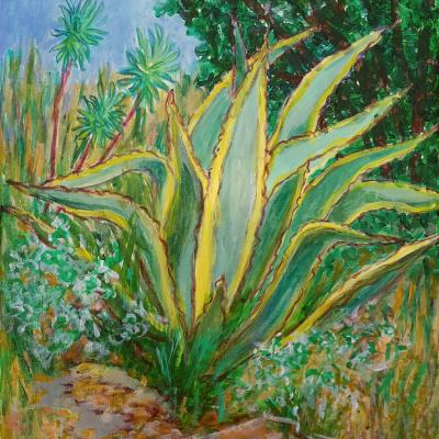 Agave et euphorbes