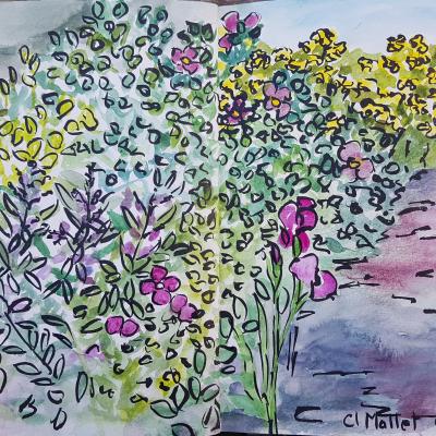 Claire mallet petite haie fleurie