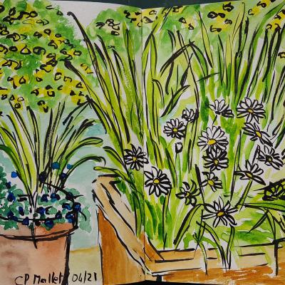 Claire mallet potees sur la terrasse 