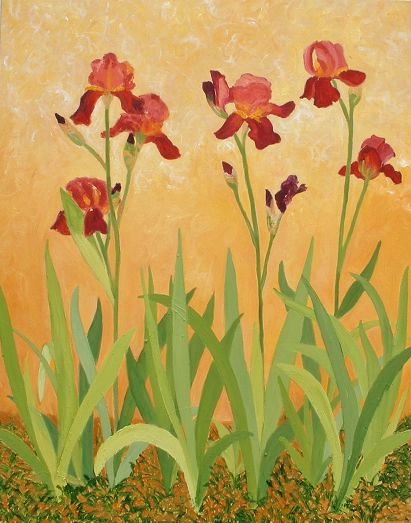 Iris couleur brique