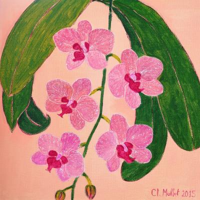 Orchidée rose 