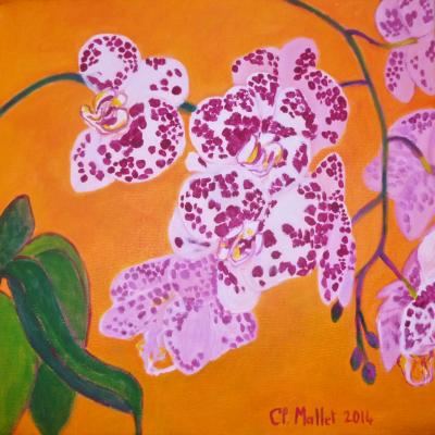 Phalaenopsis à pois violets