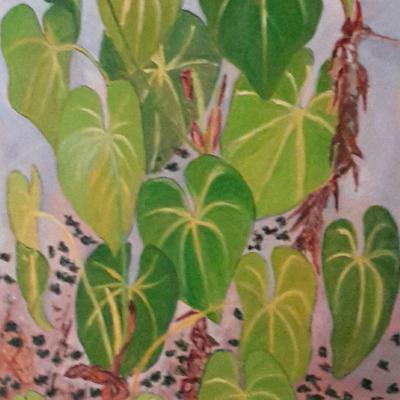 Philodendron du jardin