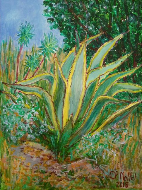 Agave et euphorbes, Claire Mallet