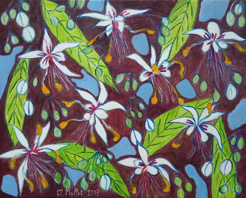 Fleurs de cacaoyer claire mallet