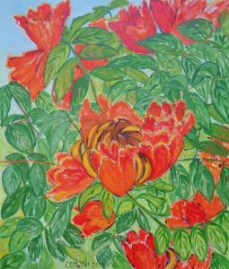 Fleurs de tulipier